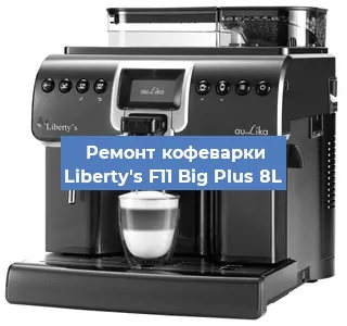 Чистка кофемашины Liberty's F11 Big Plus 8L от накипи в Воронеже